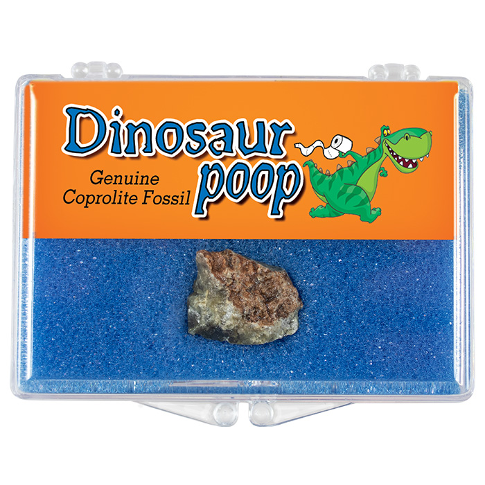 Dinosaur Poop Natural Educational Box | Silver Streak